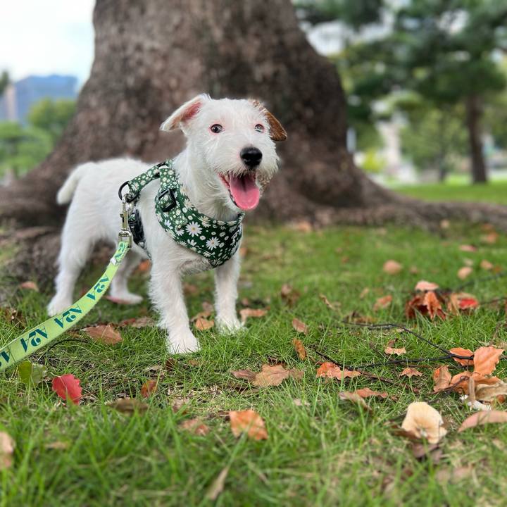 1406dadc f9df 4df4 96dd 3195700fa4d1 1759667020483