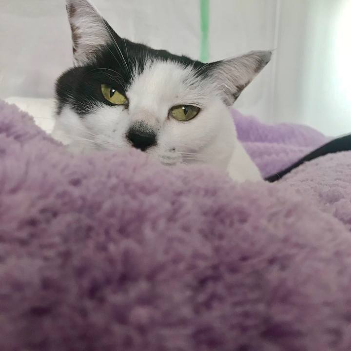 1406e769 2fca 4a5b af76 867ecc7b12ea 1545441632395