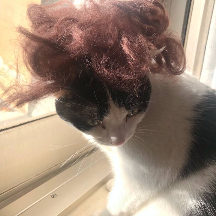 1406fc04 d0db 468f a025 097a6db66fcf 1575078136350