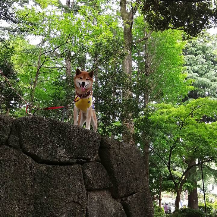 14071162 6bb2 4d04 95cf 79ea5735fd8e 1653049024484