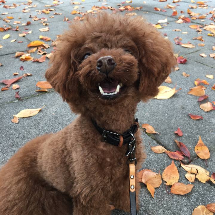 14071c97 9f34 4271 af06 6a9e89ddcf4b 1510010800764