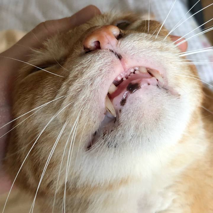 14072924 9742 4b51 a217 cc1457c96ae3 1593320212593