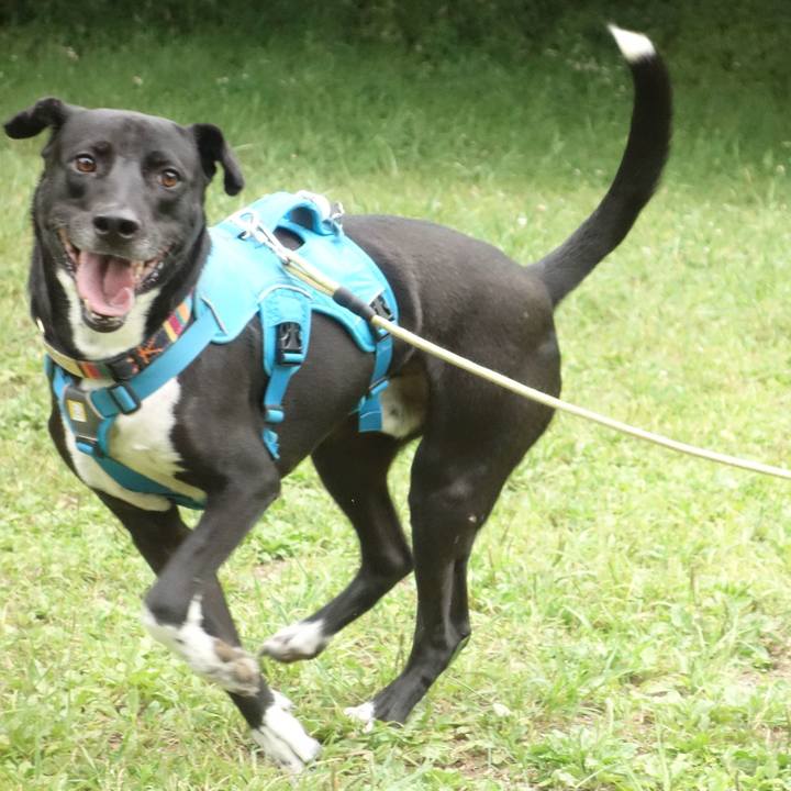 140744a9 afb6 4a78 9b9c 2f9350bc313e 1715822066361