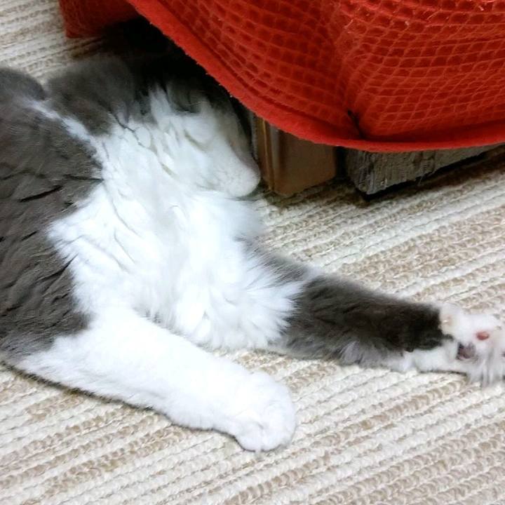 14076206 6295 40d0 8c77 52cbb8a1d46f 1599127320943