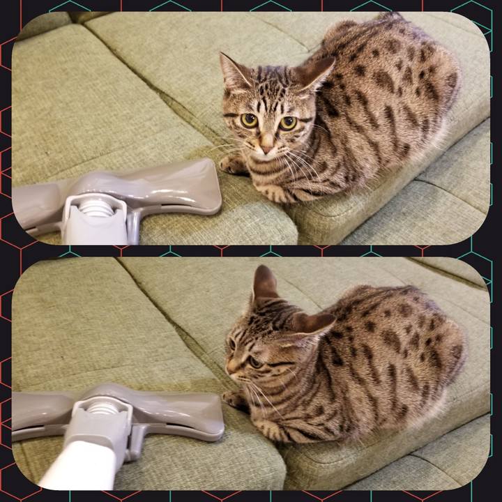 1407766f 85e0 41c7 9ad1 96fe2af80e68 1557323192418