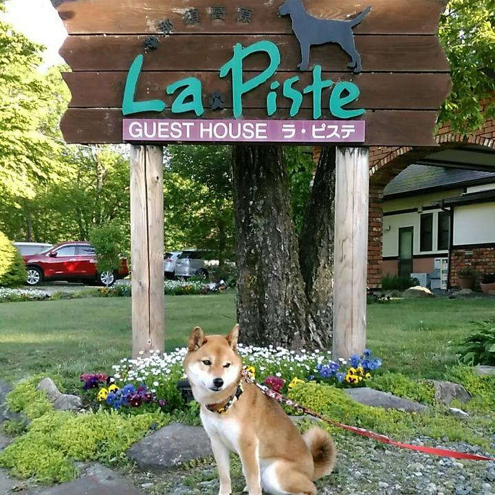 14077ec6 28d5 4810 ab05 e0e5d4e23f8b 1558921273593