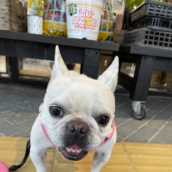 1407831f 027d 4ce2 bdc0 b0a839468dbb 1730423620327