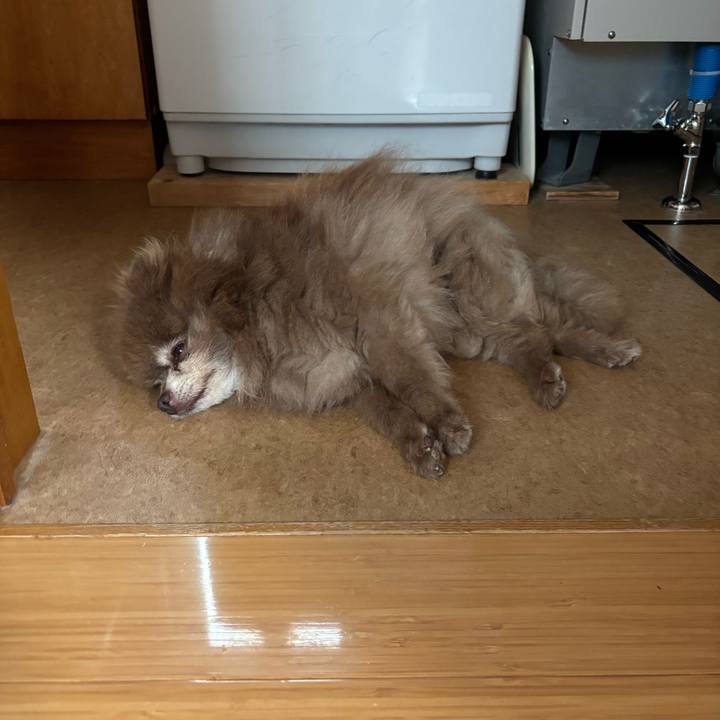 1407a267 d5cf 40e2 8e4a 36a56fbceb58 1758753400223