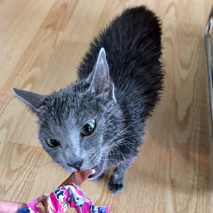 1407ccd7 7fdf 4443 aa7b b6eec0d96ecc 1592712670100