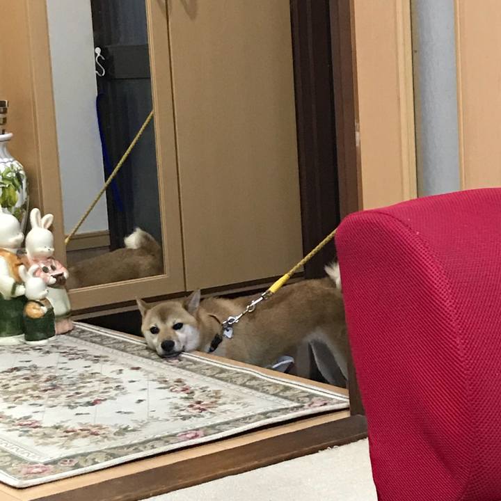 1407e817 e007 4b80 98ef 1c1434c2afb7 1534210932033