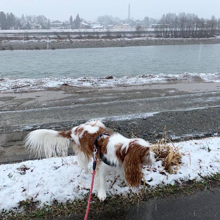 1407fa23 a269 452e b126 8bf97e862b1f 1582757197108