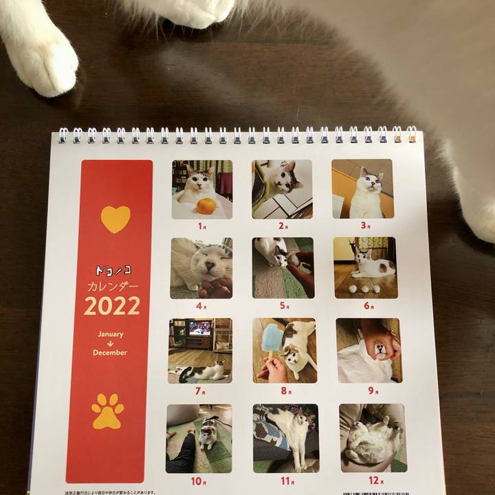 1408113b c549 4a8e bc2b 00d4a7d1eaad 1643251459991