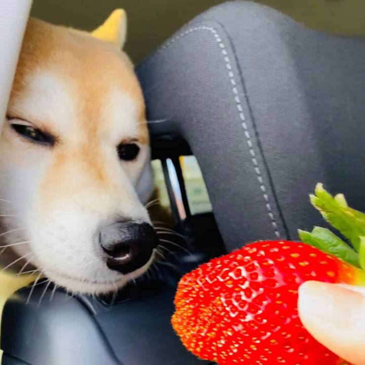 140839f7 57c4 4ec6 9a4d e68ae6ec07bc 1610885641033