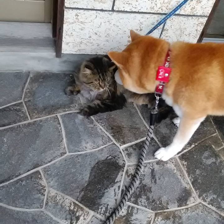 14083a9d f565 4a53 ac9e 2ea3a839874d 1629260054518