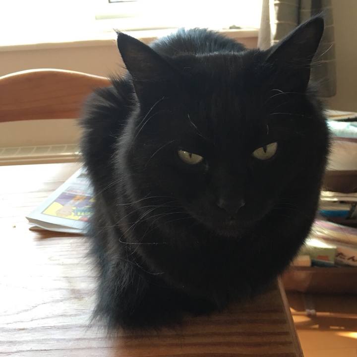 14087257 b447 495f 8628 36240af0384e 1523322798959