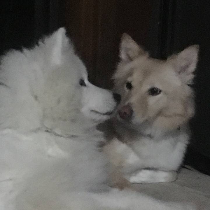 14087704 8b67 4f8d 847d ed679dd70093 1544842064972