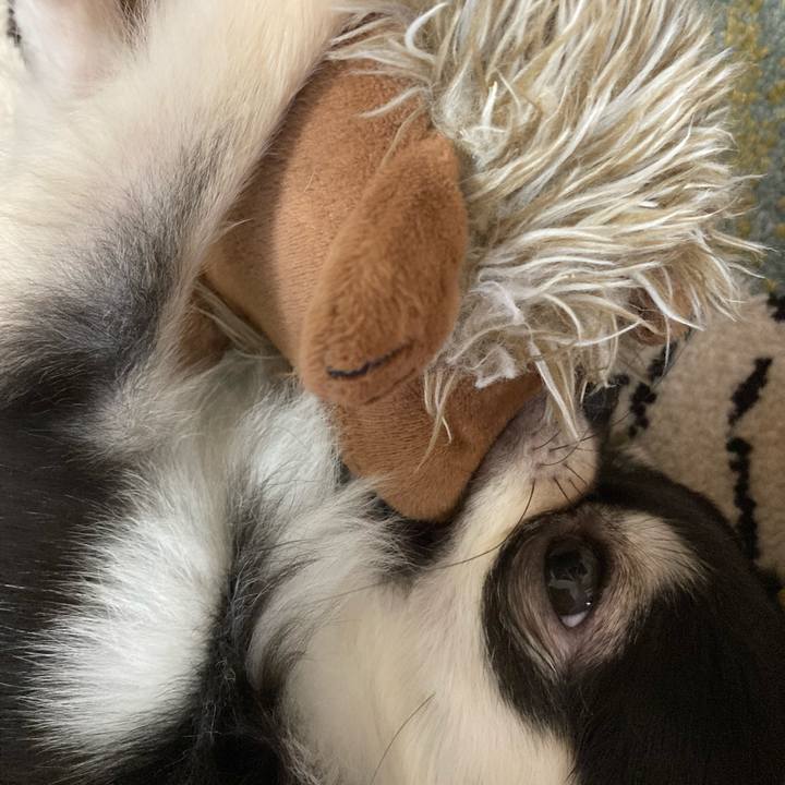 140894ee cadf 4506 ae3c 71e58f3720b7 1630209208322