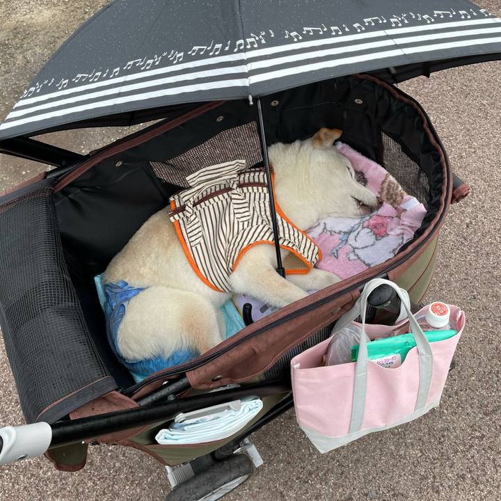 1408b62c b780 4e46 8d9a cfbb71b85fb5 1656851647030