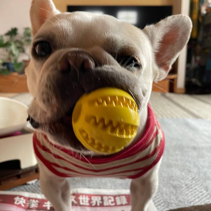 1408d248 b401 4314 9b61 bcff2b6dca88 1743721152237