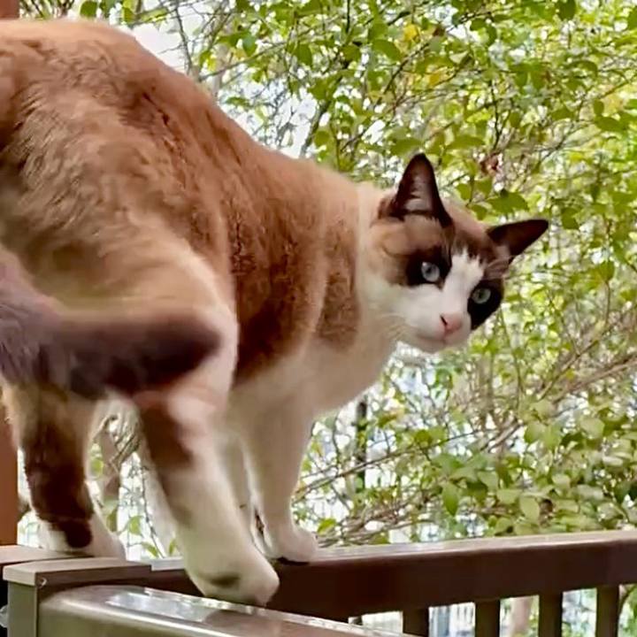 1408df22 07a0 45e5 a3f3 d6d32802db46 1744250292747