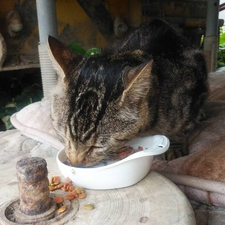 14090ddf e751 4bcd 99bb 09b500adb7da 1624590028832