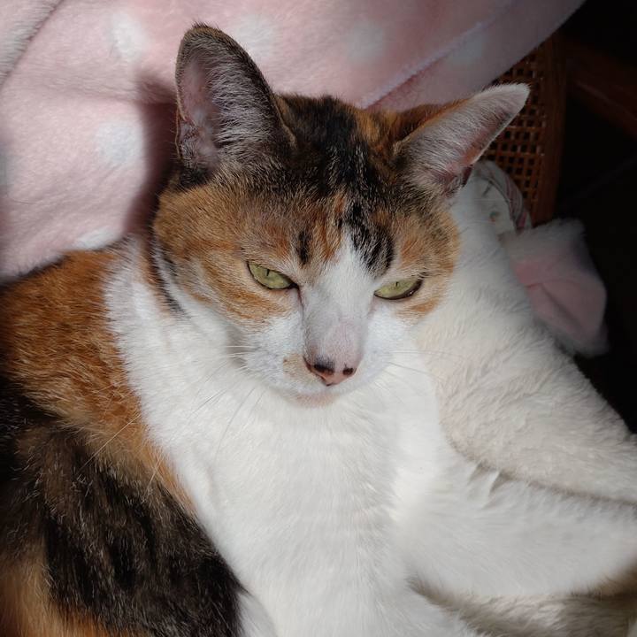 140916d3 32f0 489e 8e8b 04fcc5342a6b 1632540390183