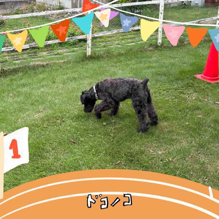 140957b5 1807 4b8b 95c6 9b24fe8f5c74 1761105840665