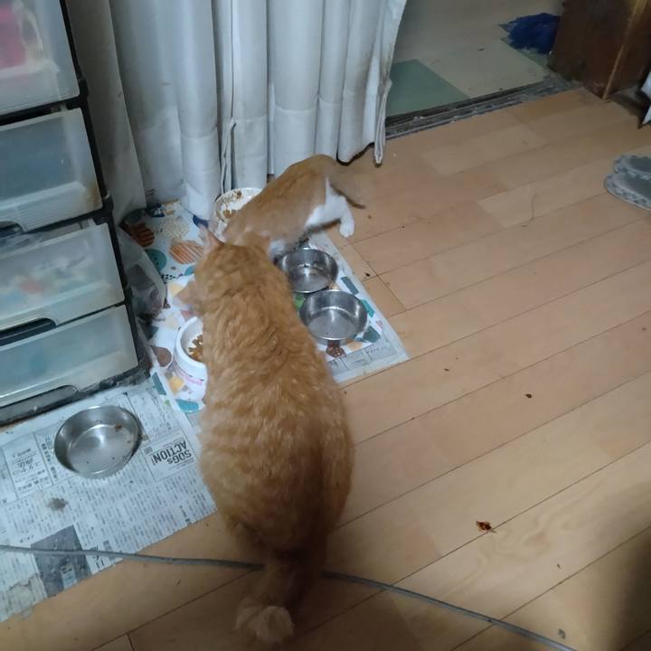 140977dd 2312 4d6d bc08 47e4e03c5216 1725228469603