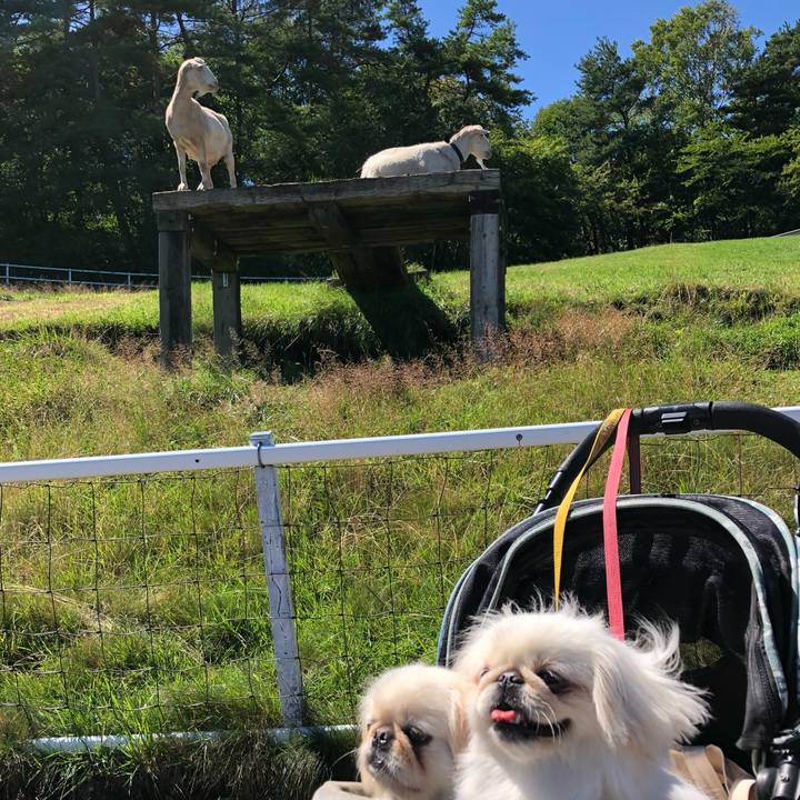 14098436 22f9 4e1c 9b0d f55959c3adcb 1534822339617