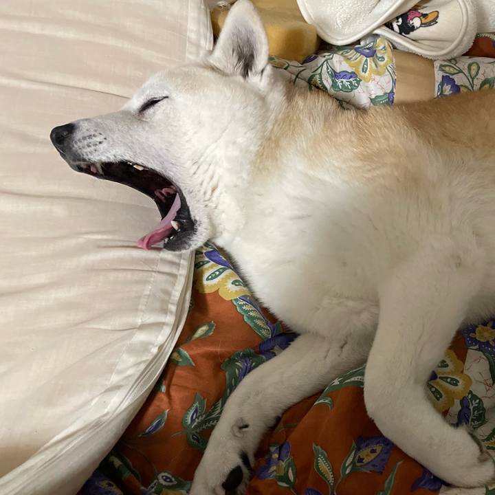 14099717 b605 482c bde3 28af86f8af4b 1673354464974