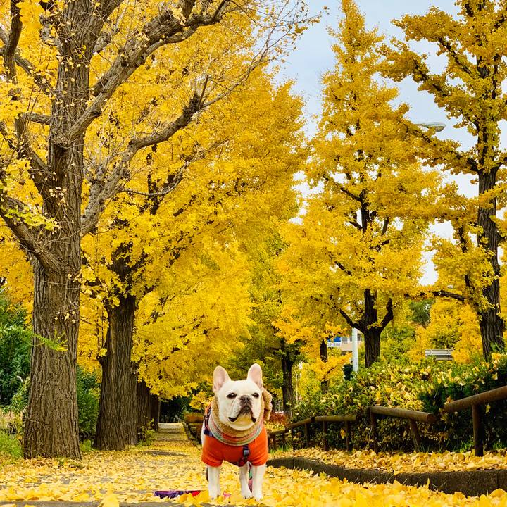 14099891 0175 4963 b2fa ba5c125a5a83 1575619442937