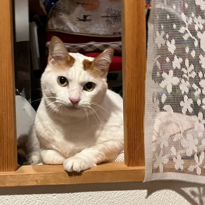 1409ad09 8821 49a0 a331 0e9672d2fd41 1762128818549