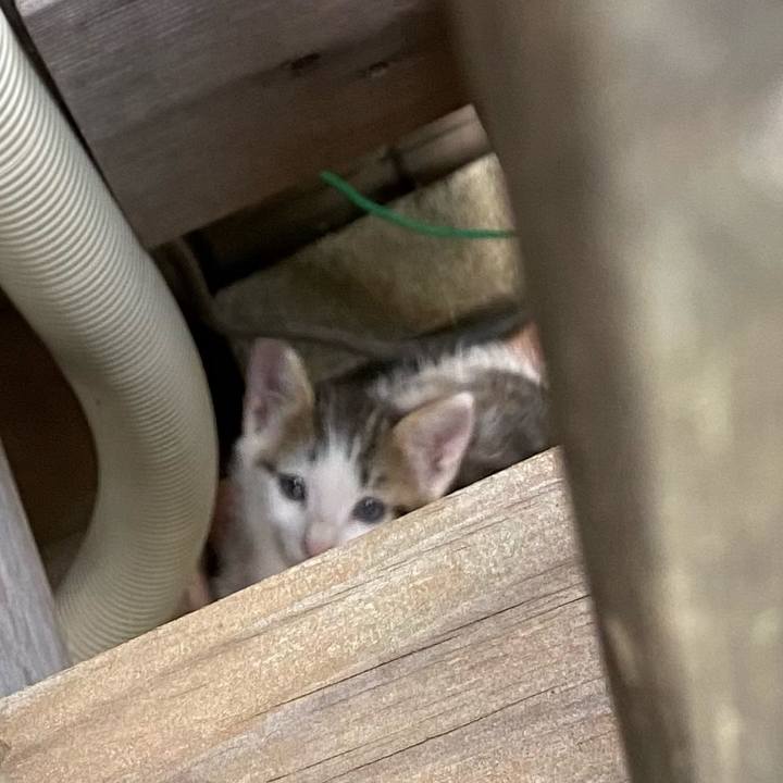 1409b8ea 60c5 43f9 9c73 616603ce55b6 1626676882304