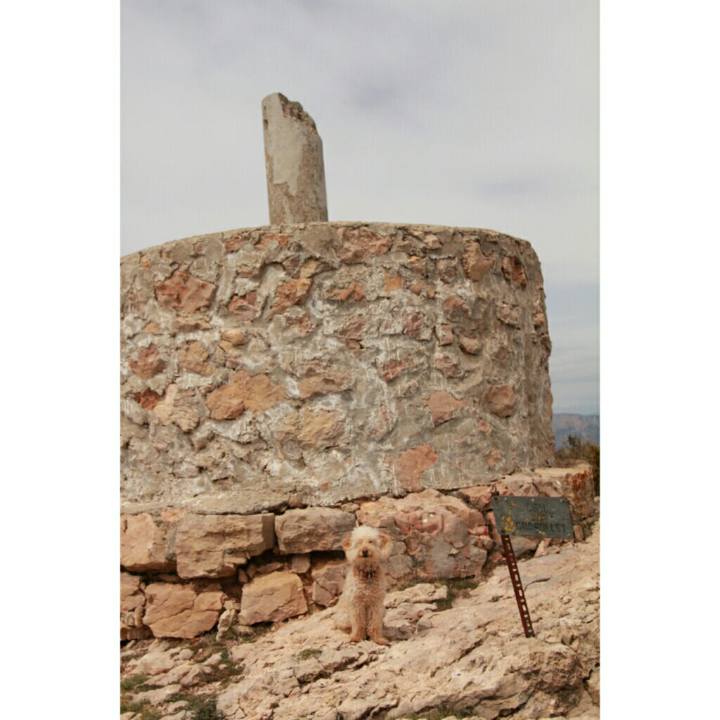 1409c01e f3dc 4a09 b023 e0909169b230 1556470272681