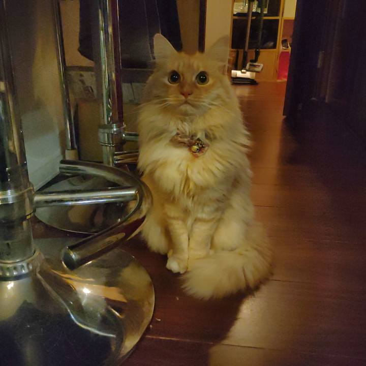 1409c298 ea8d 4ef8 84dd 284f03cd9a5b 1674598005265