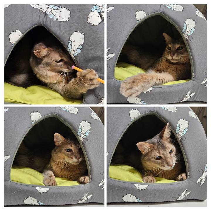 1409c76c cfb6 4376 9051 5200137c8b87 1703938931941