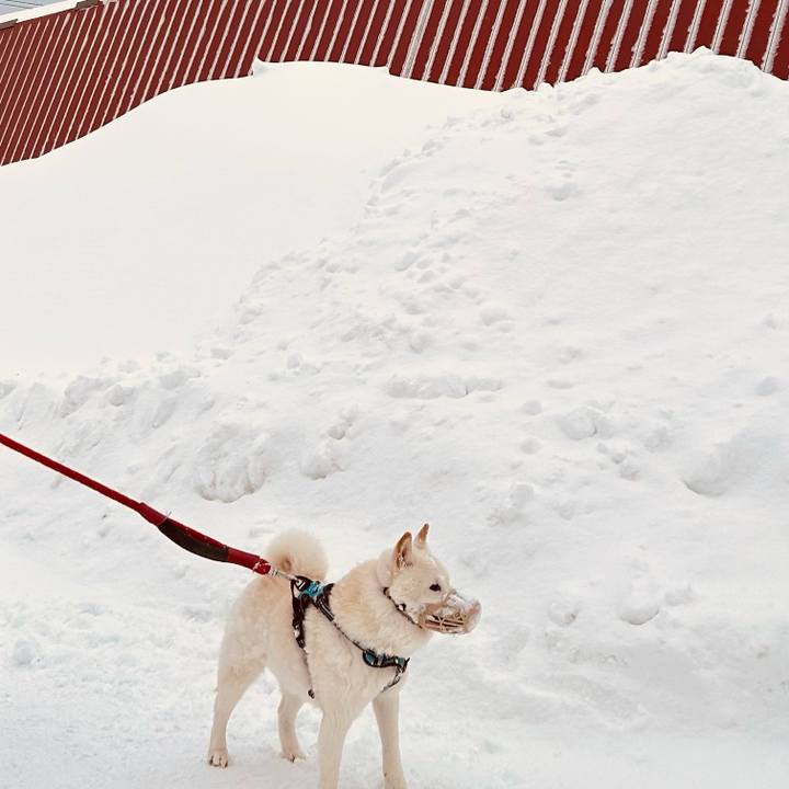 1409c85f 04df 4b14 a477 61d340c5e1ee 1739317128027