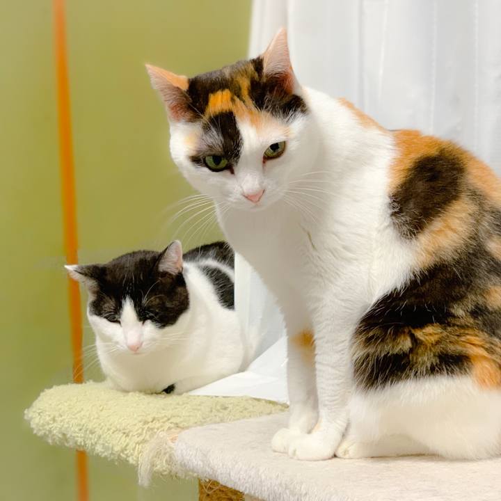 1409d670 e00b 4b6a a984 dc8266d1ebdc 1559440354923