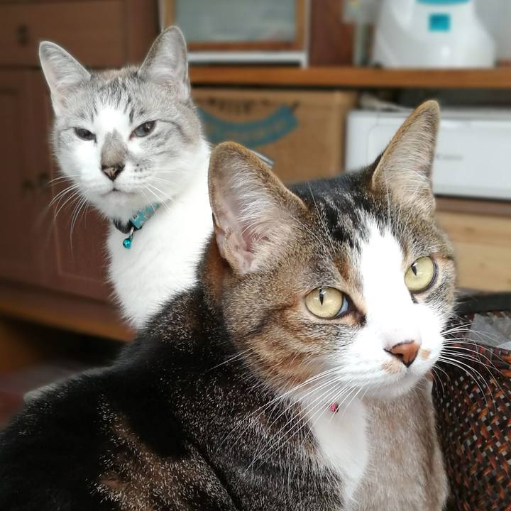 1409e2d9 d117 4a82 b328 56e1d97fef0e 1558494051713