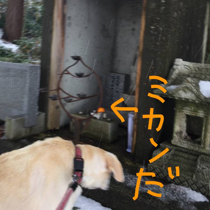 1409f852 bf96 4440 b4b9 fdd72b1192c7 1515031421628