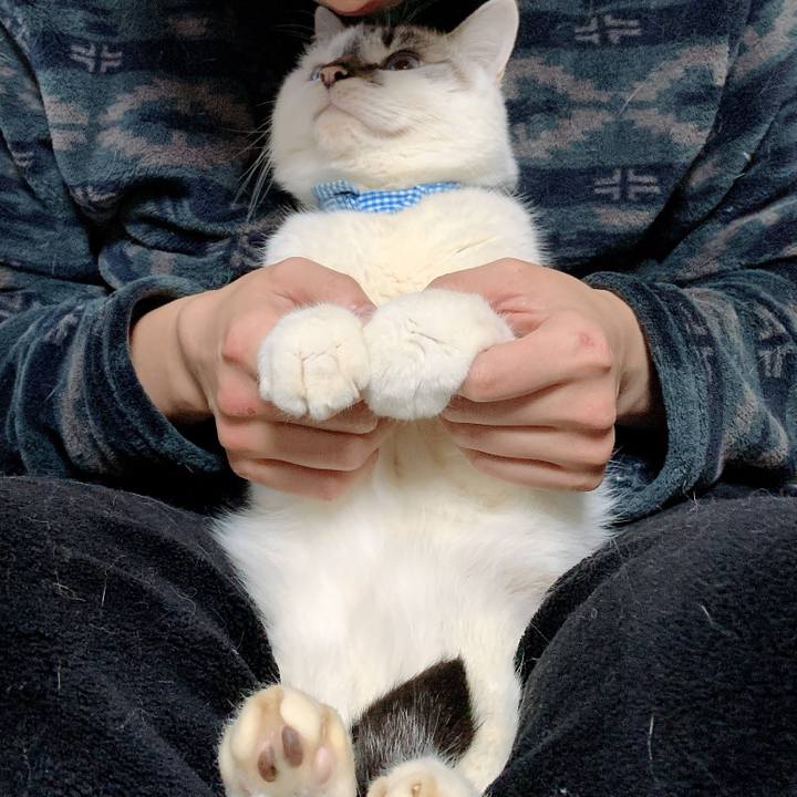 140a2d09 dfbe 4d8c b05e 0a51ce1a3a54 1578443985106