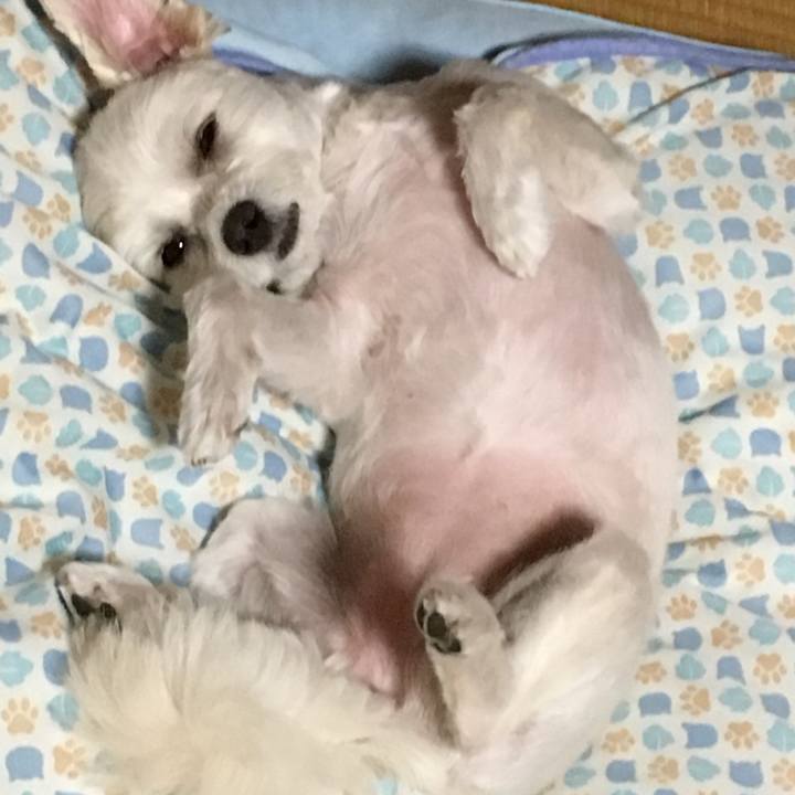 140a3317 2faf 4f1b ba63 a50dd8929e0d 1533038051259