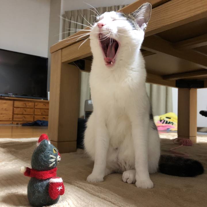 140ac33e 68d2 4bf3 a605 249eee83c18f 1606829312329