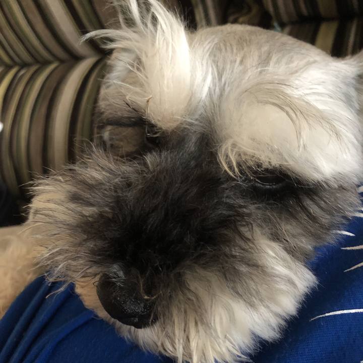 140ace55 1718 4dcb ae20 7807caac1efc 1564615578049