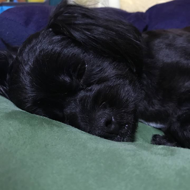 140ad905 2abb 4f03 b8d9 3f50484fd88a 1530527636916