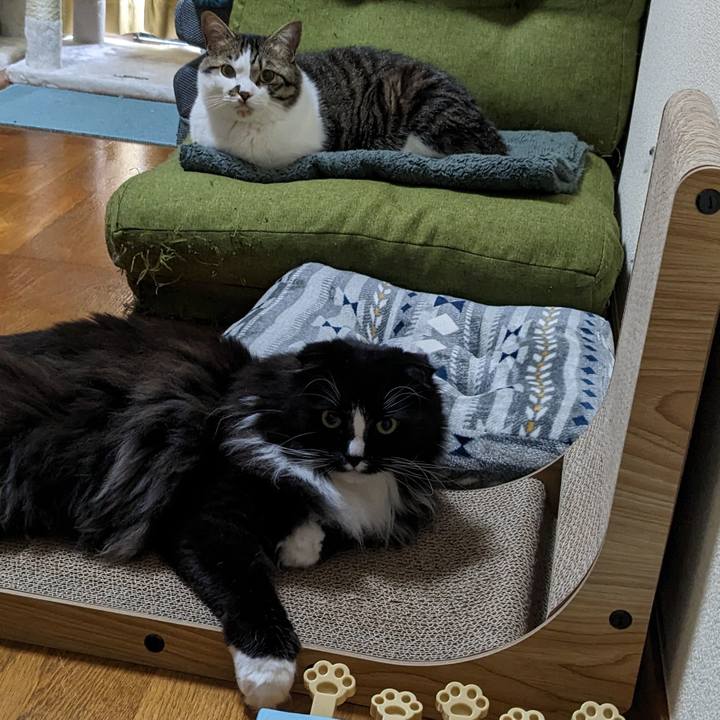 140b0cd7 08ae 4b21 b89b 1cda69c0b269 1683508852018