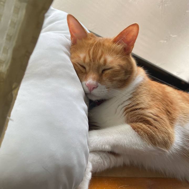 140b8c57 6a77 4a16 aaa6 7f70000d206f 1720530905602