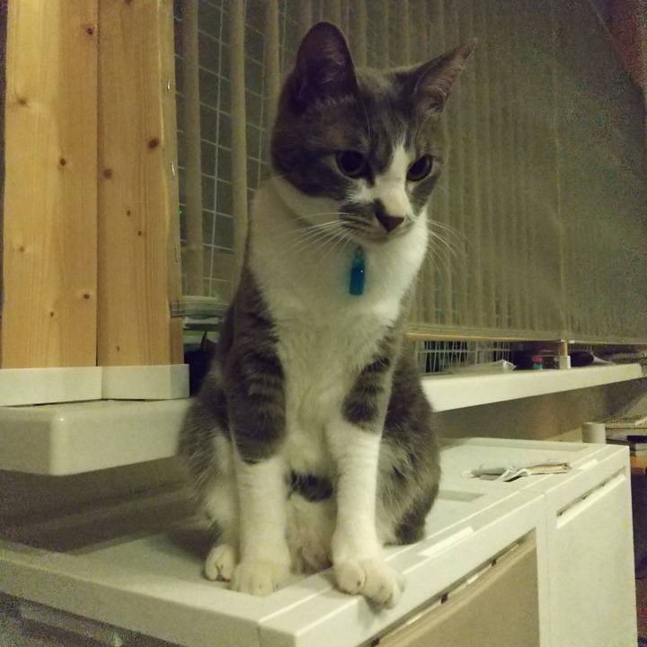 140b98bb 7341 4a96 a3b3 e49177681791 1619609282550