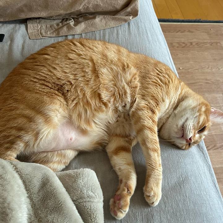 140bfa28 4346 404f 9cbc de7424dc78d2 1687038733879