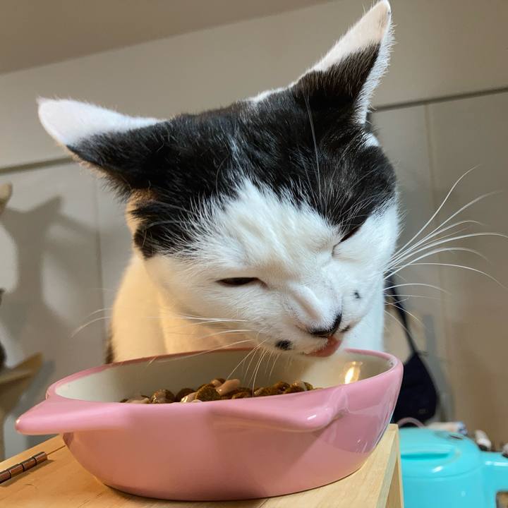 140c16f9 0b85 4435 ba1a 689da1018a03 1761167041249